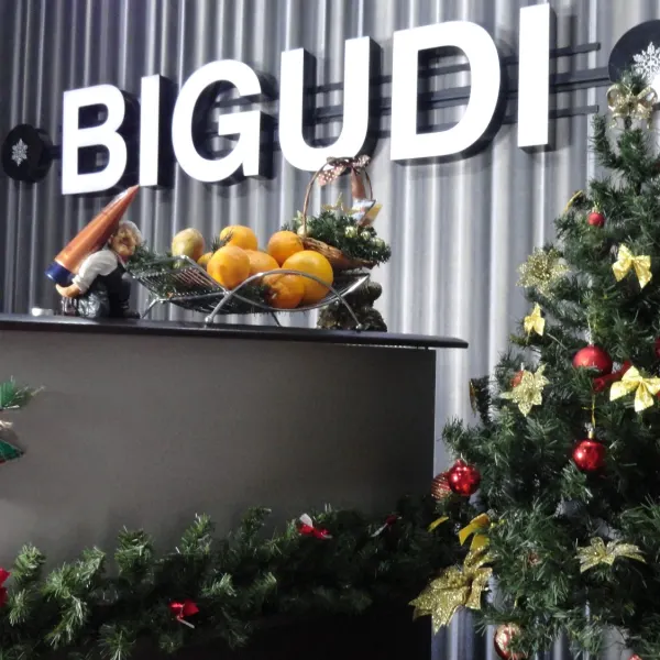 Bigudi