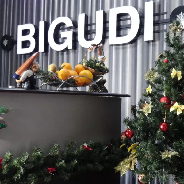 Bigudi