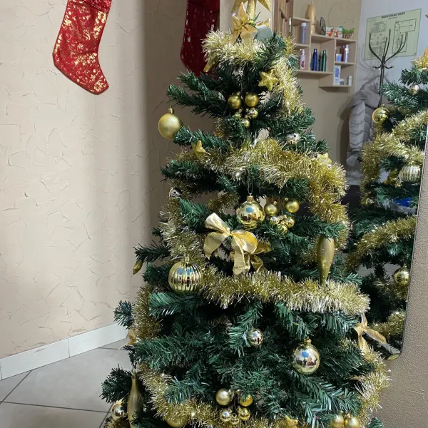 Красивая Студия
