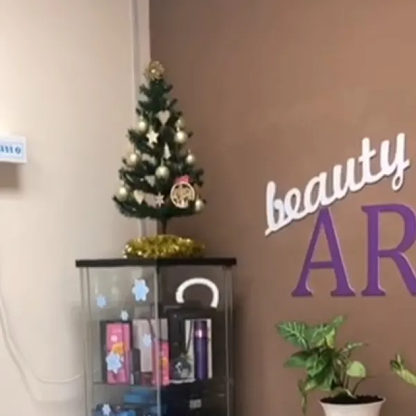 Beauty art