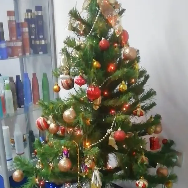 Незнакомка