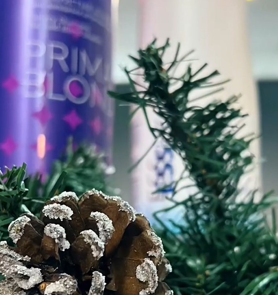 Сеть японских парикмахерских Чио-Чио - Лучшая зона продаж