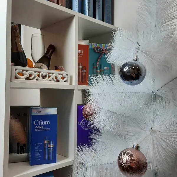 Студия Ирины Коржиной